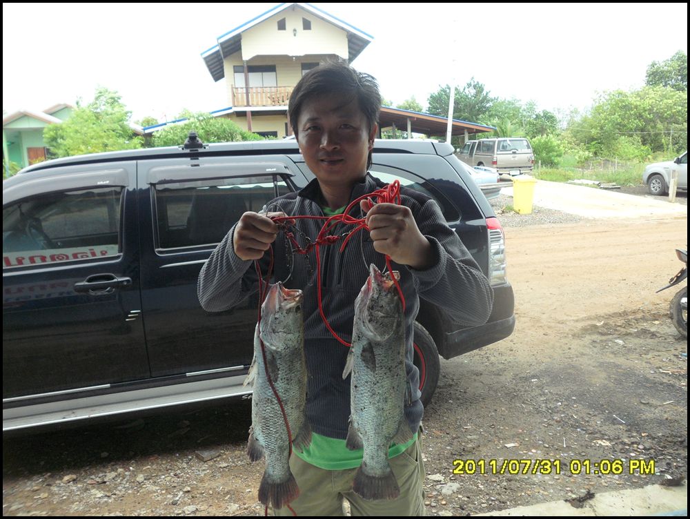 ใหญ่จิงไรจิง@บ่อน้องพลอย31-7-54
