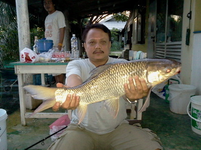 ผมเปล่าโดดเรียนนะครับ 