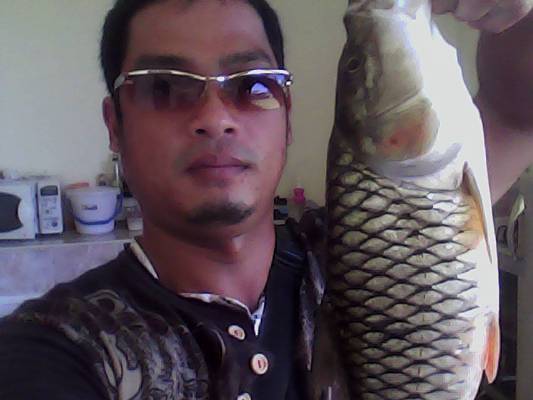 ปลาพัทลุงมาแว้วว "ปลาโสดพัทลุง"(กระสูบ)