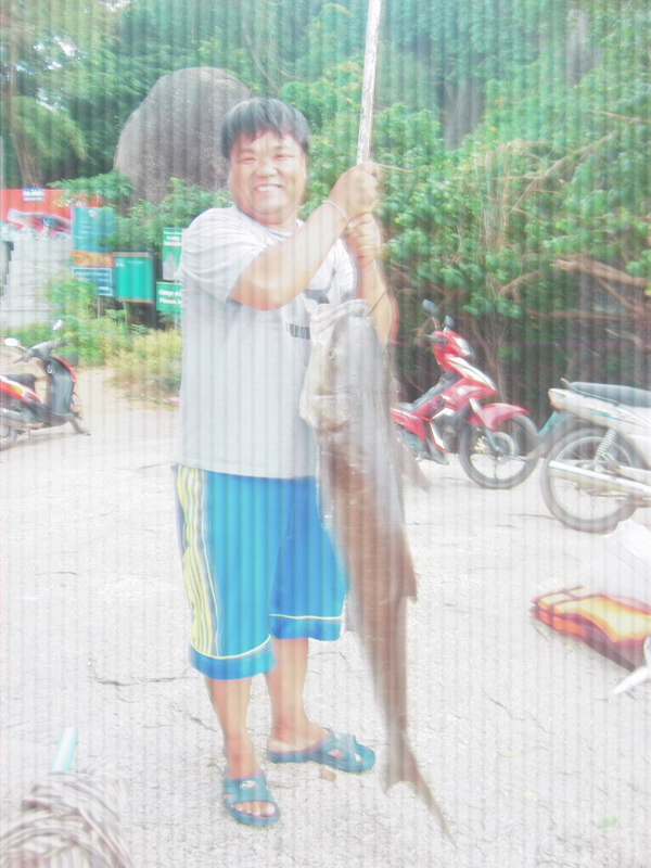 Cobiaชายฝั่ง...กว่าจะได้ตัว