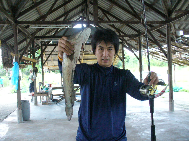 รายงานจากบ่อคูณครับผม