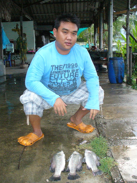 รายงานจากบ่อคูณครับผม