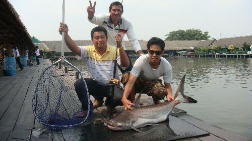 บึงสำราญรวมๆ