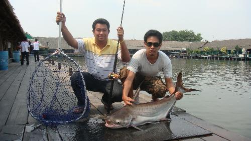 บึงสำราญรวมๆ