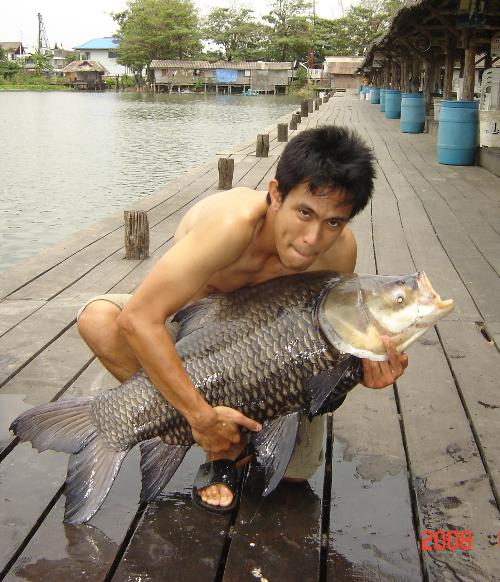 บึงสำราญรวมๆ