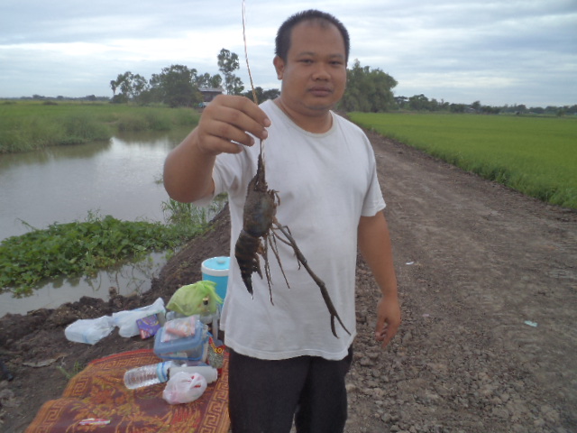 คลองราดชิด  เสนายังได้อยู่