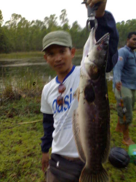 รวมภาพหมาย ท่าตูม