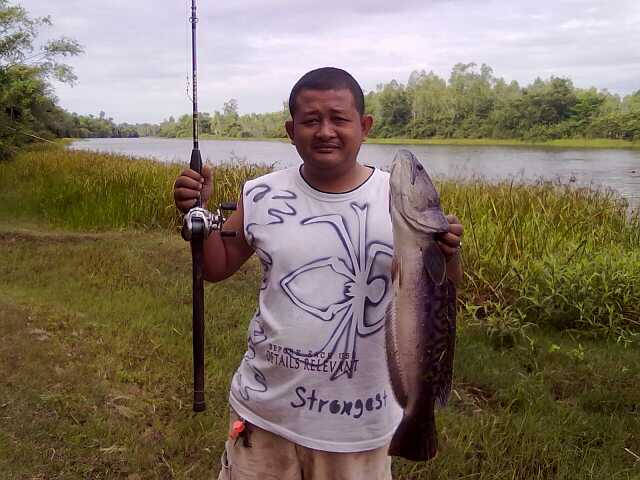 รวมภาพหมาย ท่าตูม
