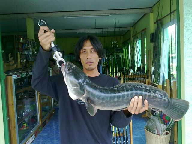 รวมภาพหมาย ท่าตูม