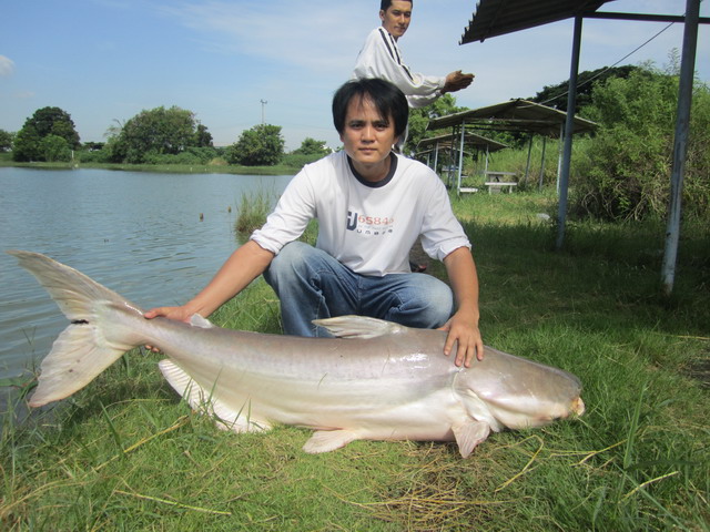 พรัชพริ้ง 100 เดียวเสียวทั้งวัน