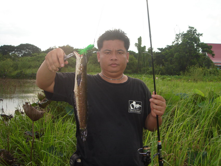 ได้ตัวเดียว