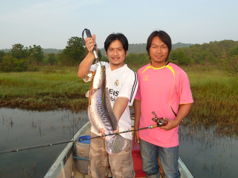 กบกระโดดบอยเทพ
