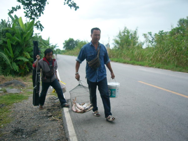 บางไทร นานๆลงที
