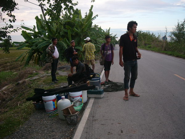 บางไทร นานๆลงที