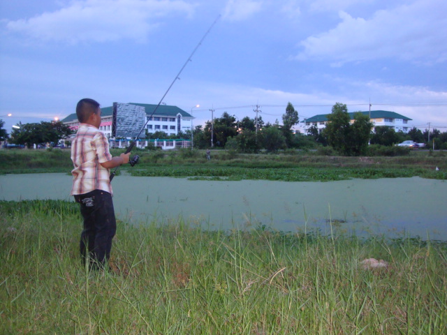 ปลาช่อนเมืองเกินร้อย