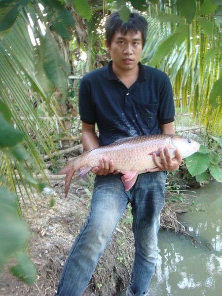 ตัวแดง แรงดี