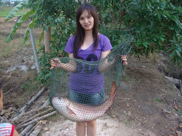 ตัวแดง แรงดี