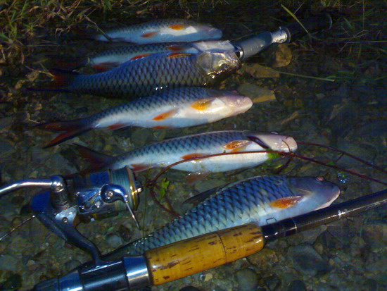 สียัด....เมื่อเย็น....หลังเลิกเรียน