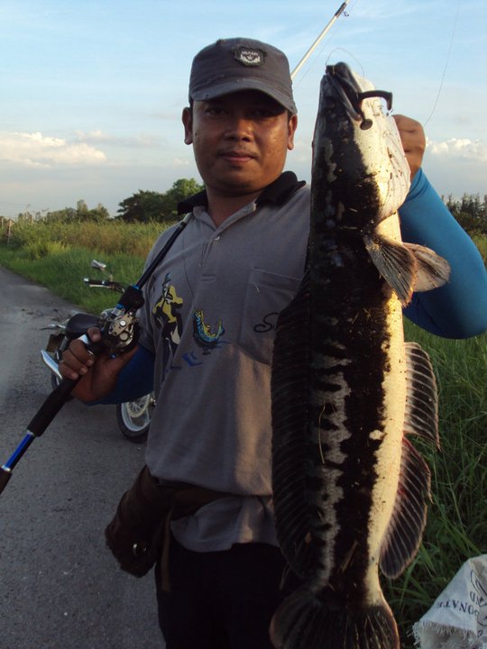 ขออีกทีเมื่อเย็นนี้ ที่หนองจอก