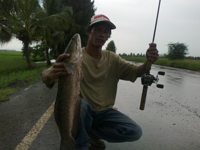 เรื่องเล่าเสาร์อาทิตย์.....