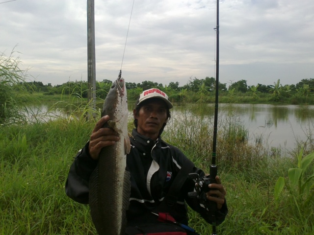 เรื่องเล่าเสาร์อาทิตย์.....