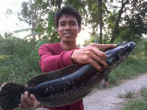 ข้างทางเพชรบุรีหลังเลิกงาน