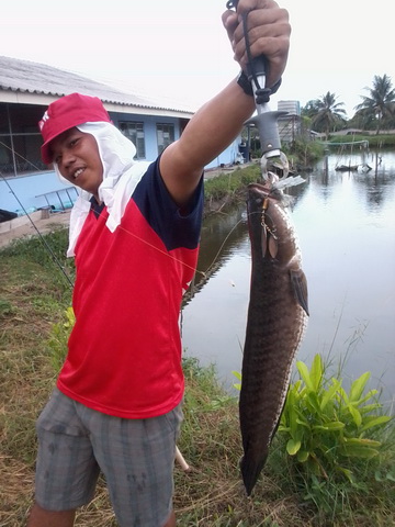 ข้างทางเพชรบุรีหลังเลิกงาน 2