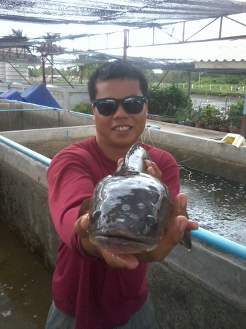 ข้างทางเพชรบุรีหลังเลิกงาน 2