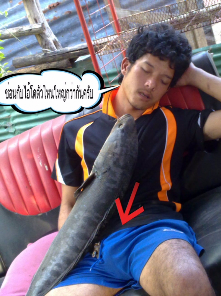 ตัวไหนใหญ่กว่า 
