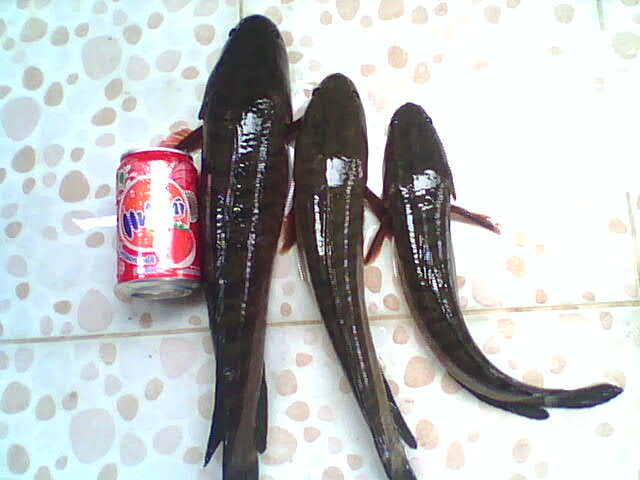 หมายเลิกงานคร๊าบ