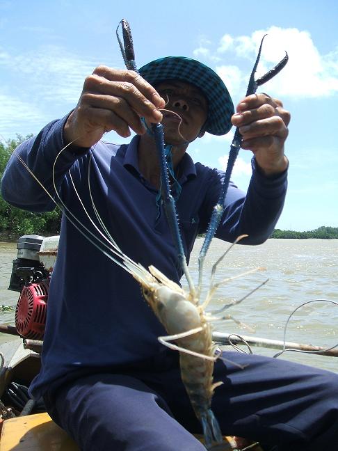 ไปนั่งเรือตากแดดที่บางปะกง.....