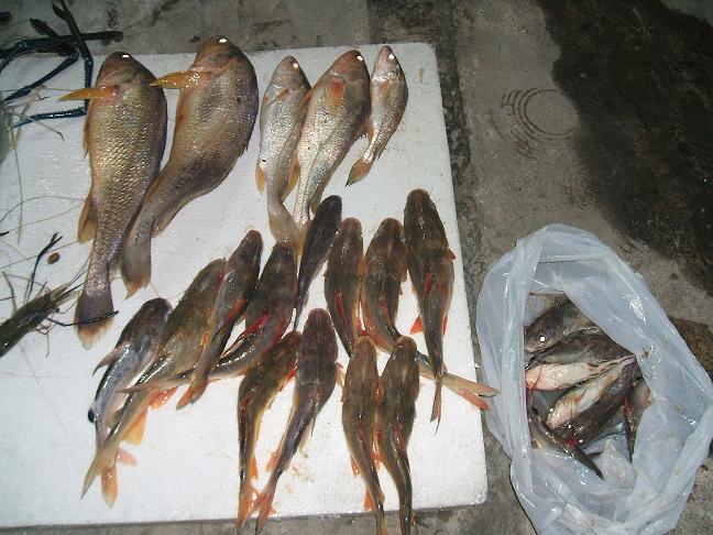 ไปนั่งเรือตากแดดที่บางปะกง.....