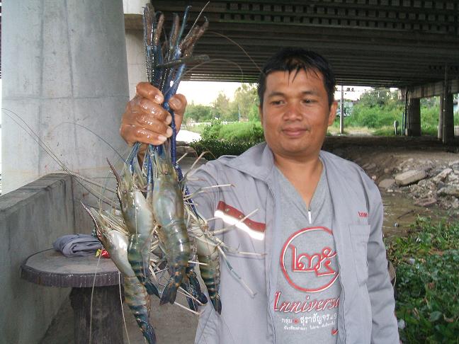 ไปนั่งเรือตากแดดที่บางปะกง.....