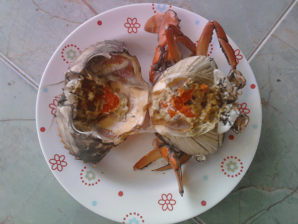 สำรวจหมายตกปลาคลองสวน