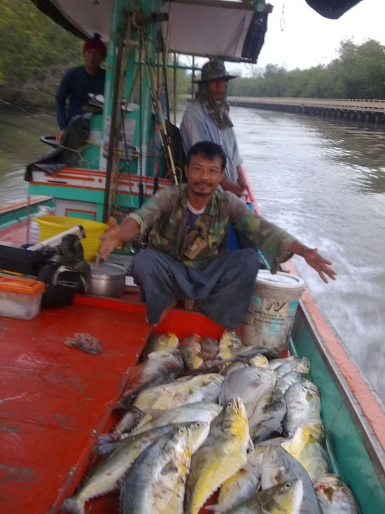 ลองจัด