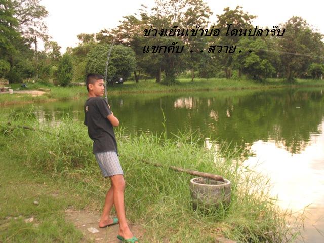 ความมันที่แตกต่าง