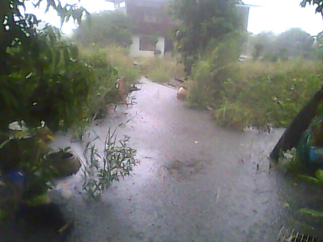 ฟ้าหลังฝน คน หาปลา