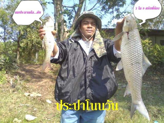 หมายธรรมชาติ นางรอง