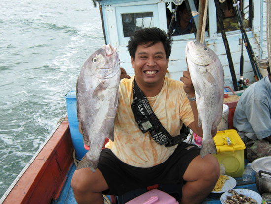 ลองจัด2