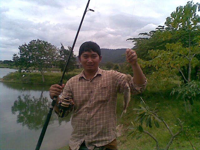       ปลา เพื่อน