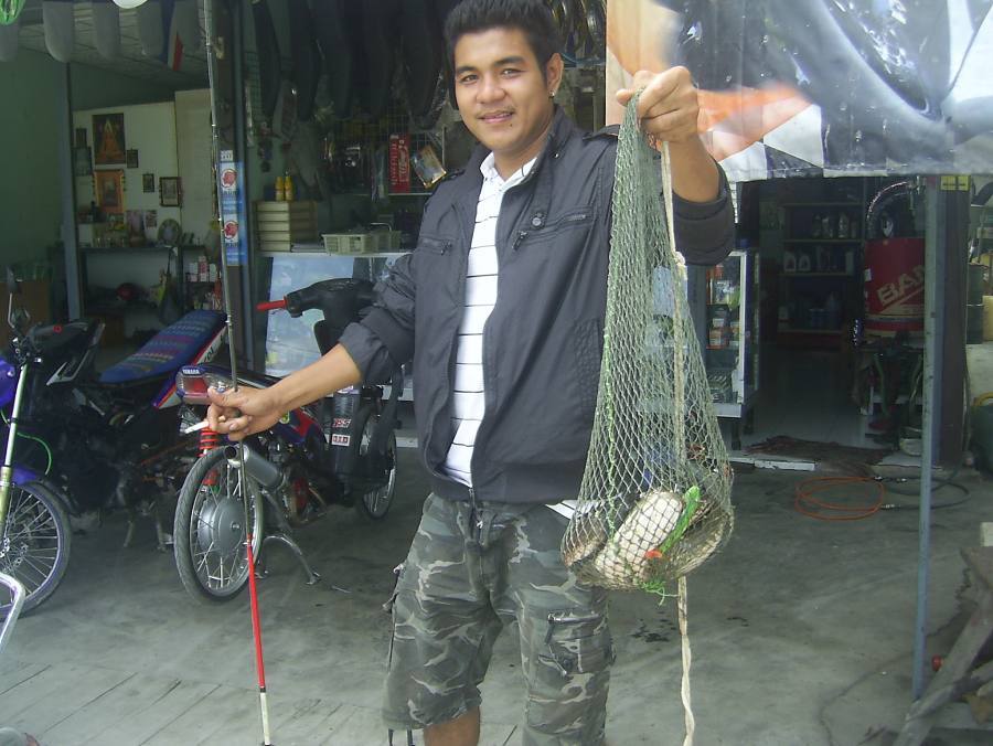 หมายนาข้าว@.......กับช่อนงามๆที่หทัยราษฏร์