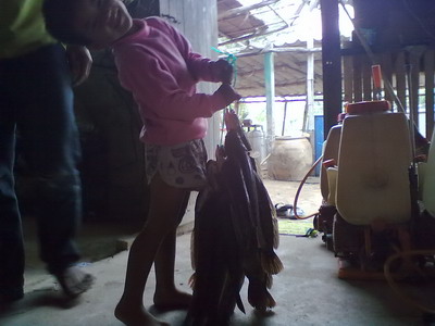 ปลารวมๆ จากเพื่อนบ้าน อยุธยาจร้า