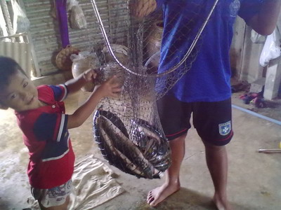 ปลารวมๆ จากเพื่อนบ้าน อยุธยาจร้า