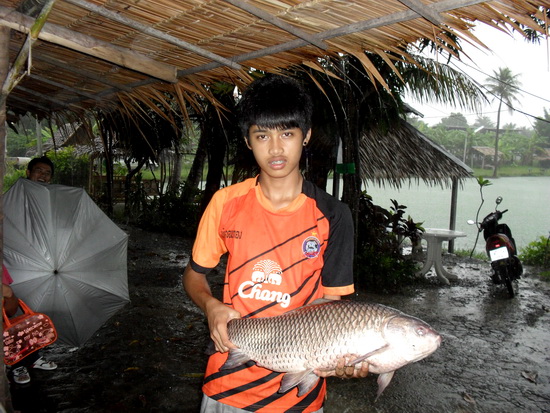 ยี่สก 7.5 โล ณ.บ่อทอง