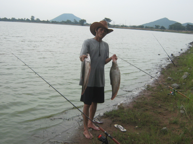 ปั้นเยื่อไม่ทัน(ห้วยกระเจา  กาญจนบุรี)