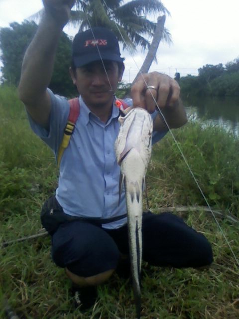 ทริบเล็กๆของหมึกดำ