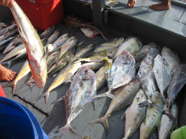 หาเพื่อนตกปลาไต๋สมชาย�วันที่ 24-25 กันยายน 