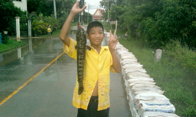 เจ้าลายริมทางที่กั้นกระสอบทราย