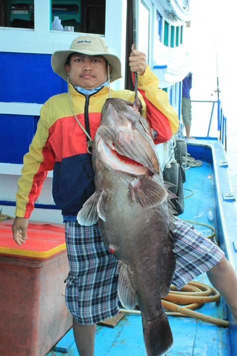ทริปชายร่องหมู่เกาะสุรินทร์  27 - 31  มกราคม 2555