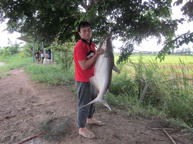 บึงปลาบึกครับ